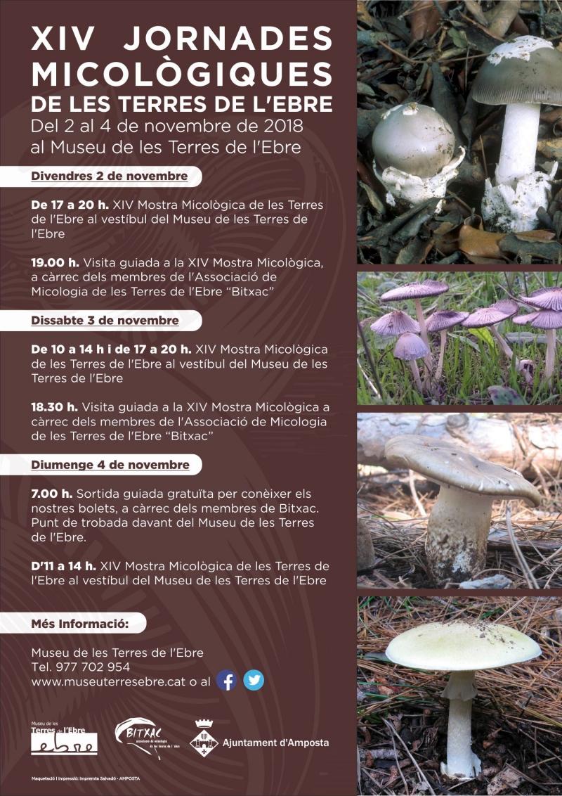 XIV Jornades Micològiques de les Terres de l’Ebre XIV Jornades Micològiques de les Terres de l’Ebre