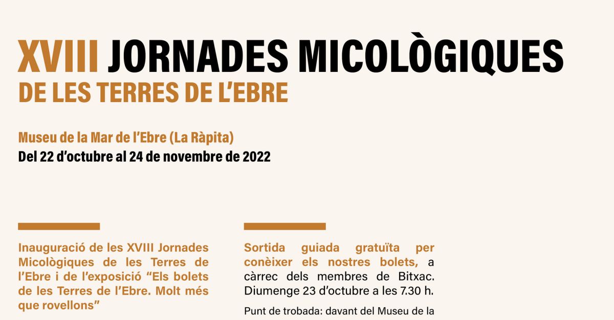 Exposici� �Els bolets de les Terres de l�Ebre. Molt m�s que rovellons�