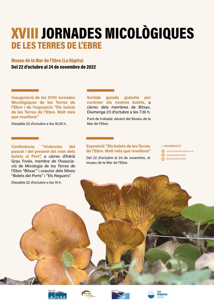 XVIII Jornades Micol�giques de les Terres de l&rsquo;Ebre | EbreActiu.cat, revista digital d&rsquo;oci actiu | Terres de l&rsquo;Ebre ...