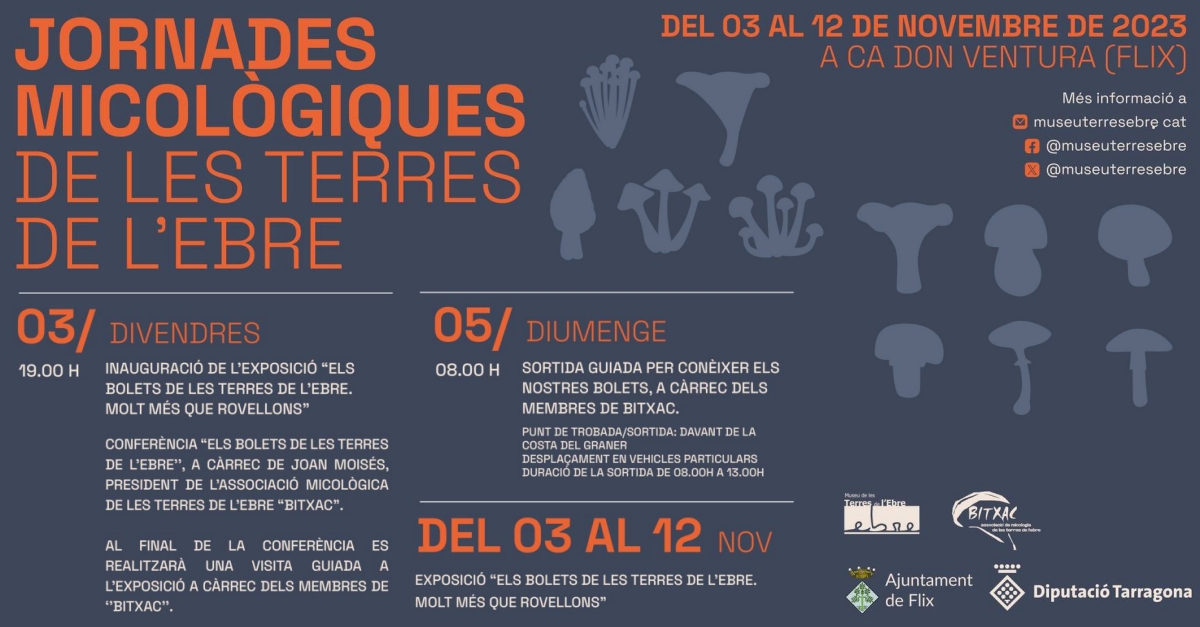 Exposició «Els bolets de les Terres de l’Ebre, molt més que rovellons» Exposició «Els bolets de les Terres de l’Ebre, molt més que rovellons»