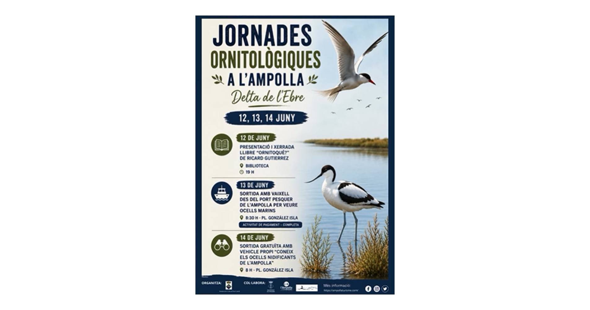 Jornades ornitol�giques a l�Ampolla: Sortida amb vaixell per veure ocells marins