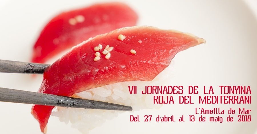 VI Jornadas del at�n rojo del Mediterranio