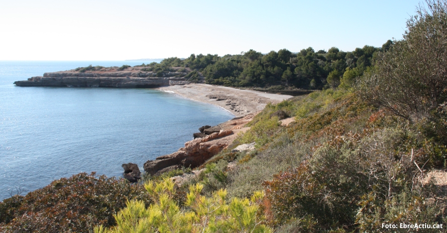 LAmetlla de Mar lidera el rnquing de platges verges amb set distintius