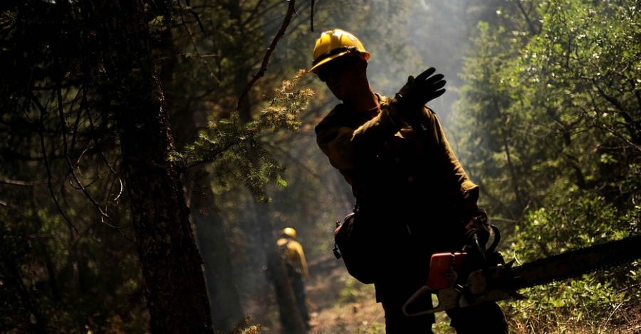 El Govern alerta que aquest estiu la Campanya Forestal pot ser complicada 