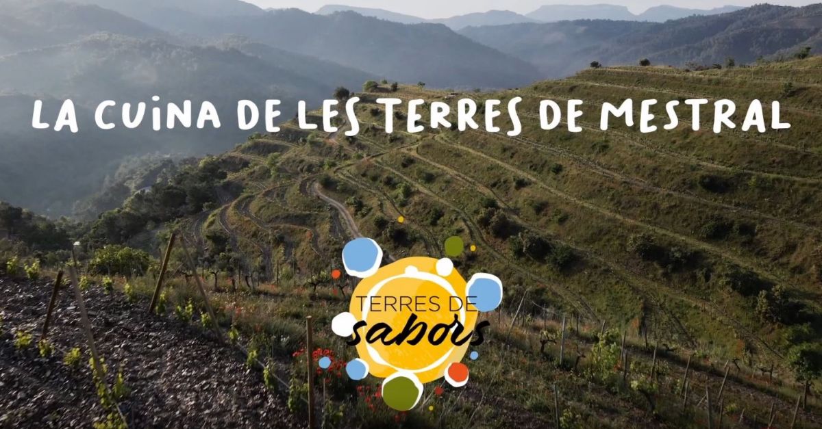 La cuina de les Terres de Mestral en vuit vdeos/receptes