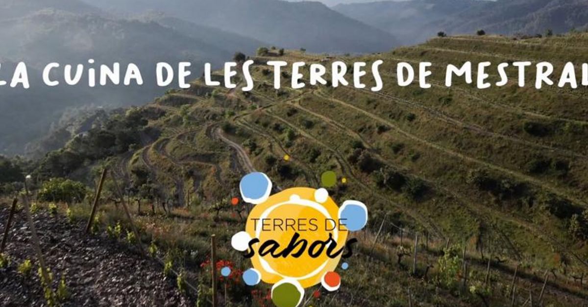 La MIDIT presenta 8 vdeos de receptes sota el nom La cuina de les Terres de Mestral