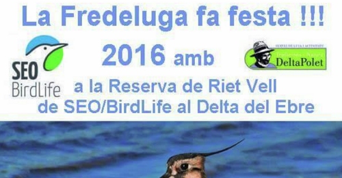 La Fredeluga hace fiesta!!!