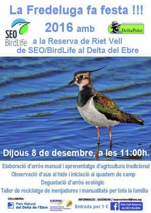 La Fredeluga fa festa!!! La Fredeluga fa festa!!!