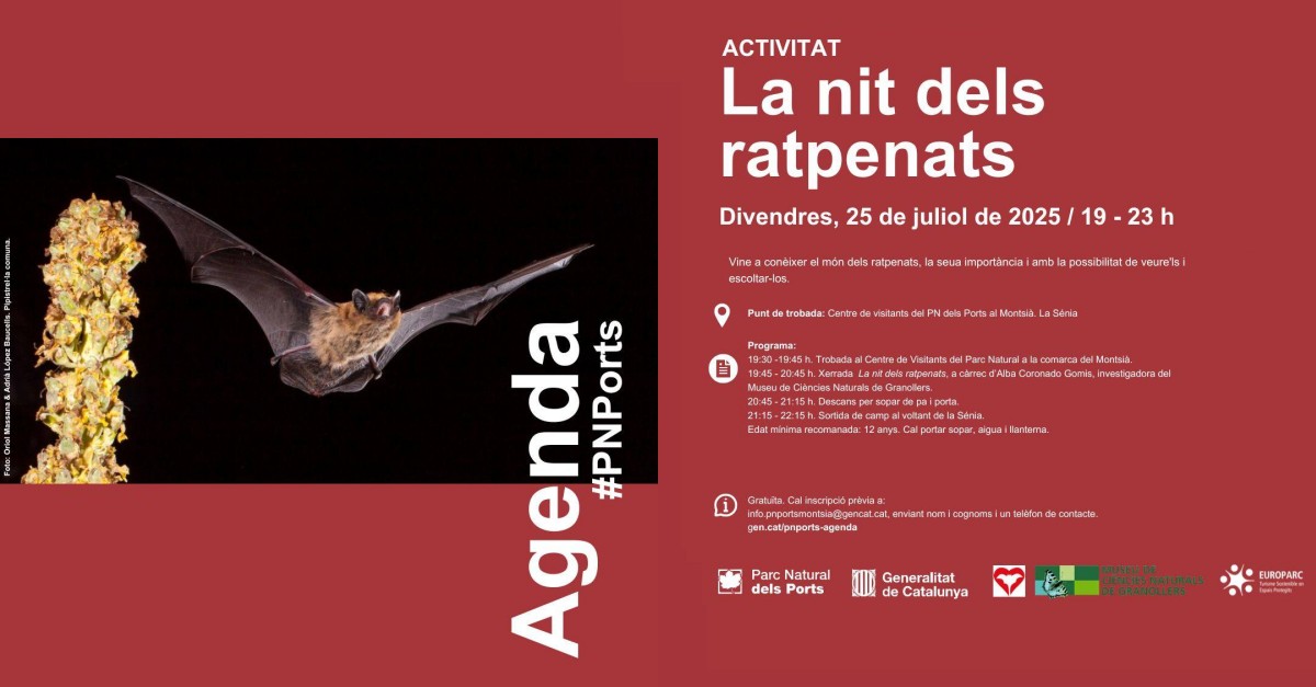 La nit dels ratpenats