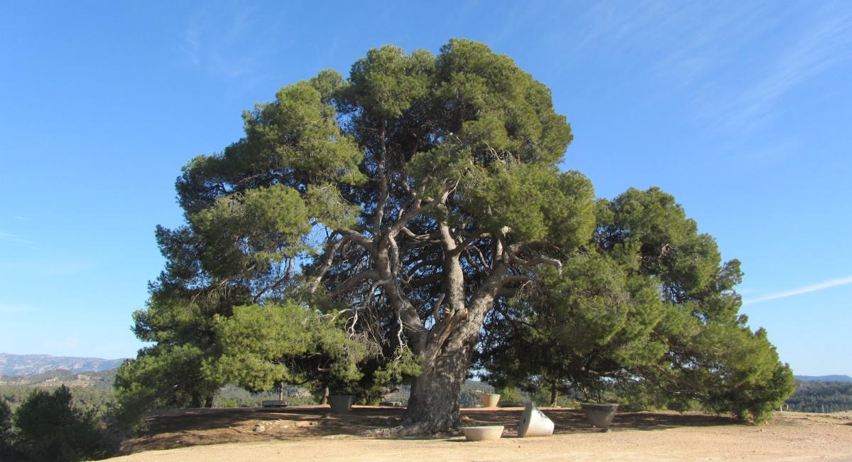 La Palma d&rsquo;Ebre | EbreActiu.cat, revista digital de ocio activo | Terres de l&rsquo;Ebre...