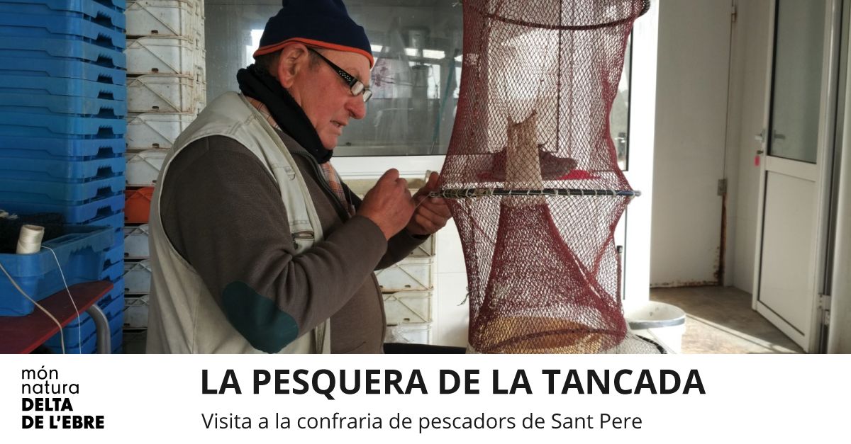 La Pesquera de la Tancada. Visita a la confraria de pescadors de Sant Pere  La Pesquera de la Tancada. Visita a la confraria de pescadors de Sant Pere