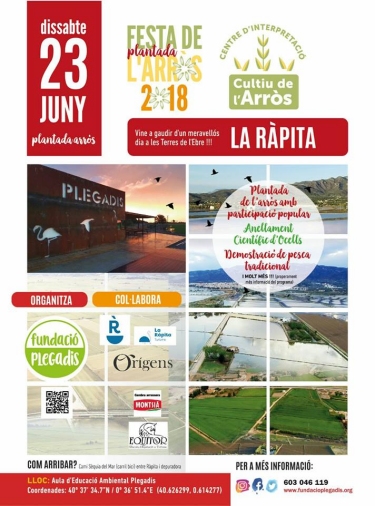 I Festa de la Plantada de l�Arr�s de La R�pita