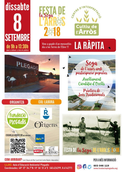 La Ràpita celebra la I Fiesta de la Siega en el Centro de Interpretación del Cultivo del Arroz | EbreActiu.cat, revista digital de ocio activo | Terres de l’Ebre... La Ràpita celebra la I Fiesta de la Siega en el Centro de Interpretación del Cultivo del Arroz | EbreActiu.cat, revista digital de ocio activo | Terres de l’Ebre...