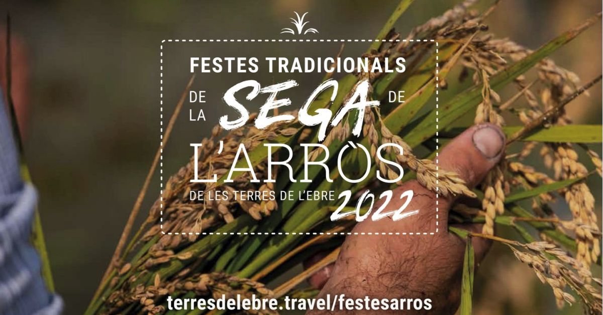 La Rpita celebra la Festa tradicional de la Sega de larrs aquest cap de setmana