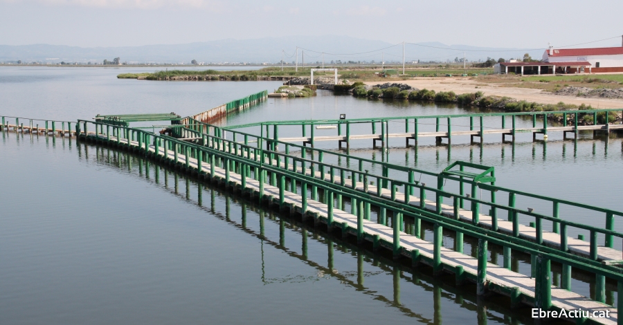 La Rpita obre al turisme una experincia singular de pesca tradicional a la pantena de lEncanyissada
