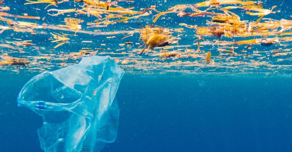 La Rpita sadhereix a la campanya de conscienciaci social per lalta concentraci de residus en els ecosistemes marins