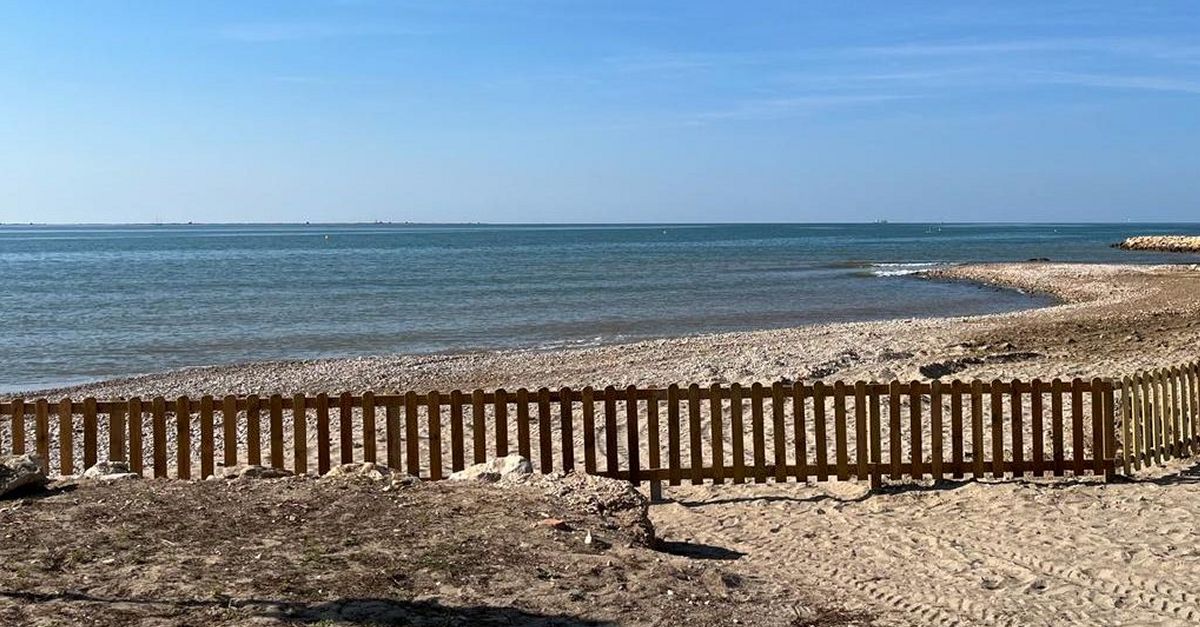 La Rpita habilitat la platja per a gossos durant la temporada destiu