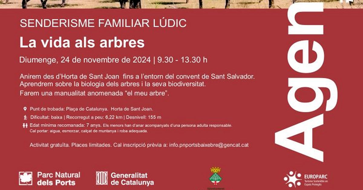 La vida en los �rboles