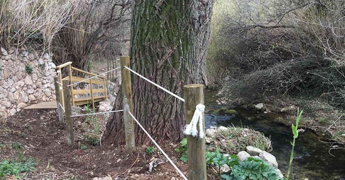 La S�nia obre nous trams del cam� fluvial del riu S�nia | EbreActiu.cat, revista digital d&rsquo;oci actiu | Terres de l&rsquo;Ebre ...