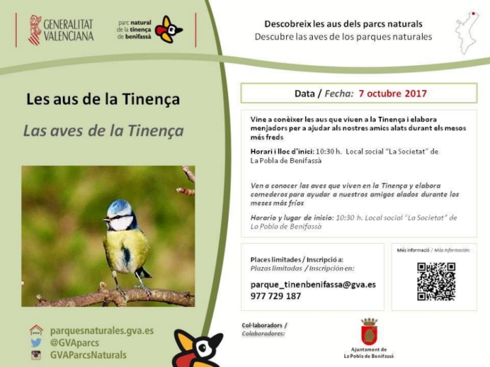 Les aus de la Tinença Les aus de la Tinença