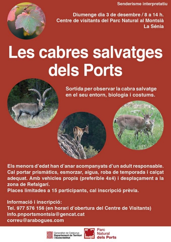 Les cabres salvatges dels Ports Les cabres salvatges dels Ports