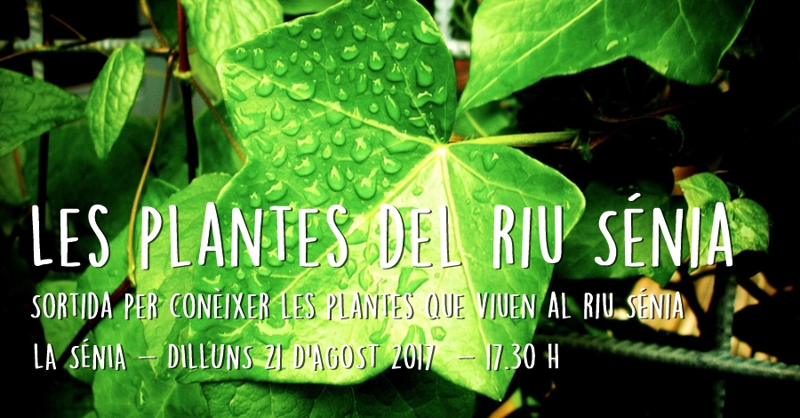 Las plantas del r�o Senia: salida para conocer las plantas que viven en en r�o Senia