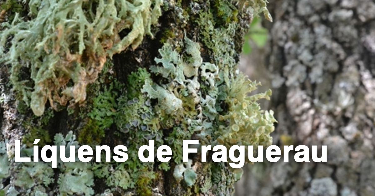 Actividad familiar: L�quenes de Fraguerau