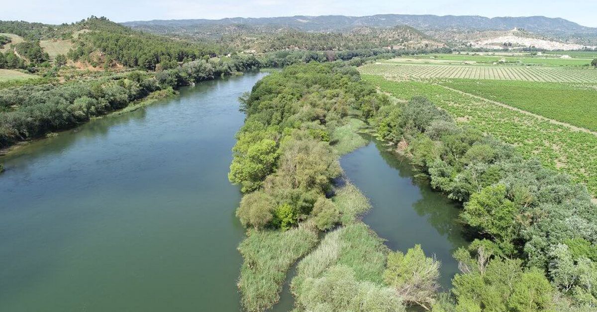 Descoberta dels valors naturals de la llacuna d�Asc�