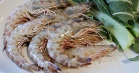 Montsi�: Productos del mar Km 0