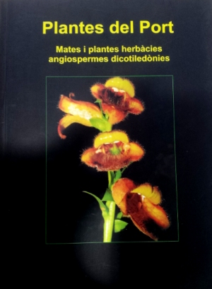 «Plantes del Port II. Mates i plantes herbàcies angiospermes dicotiledònies» | EbreActiu.cat, revista digital d’oci actiu | Terres de l’Ebre ... «Plantes del Port II. Mates i plantes herbàcies angiospermes dicotiledònies» | EbreActiu.cat, revista digital d’oci actiu | Terres de l’Ebre ...