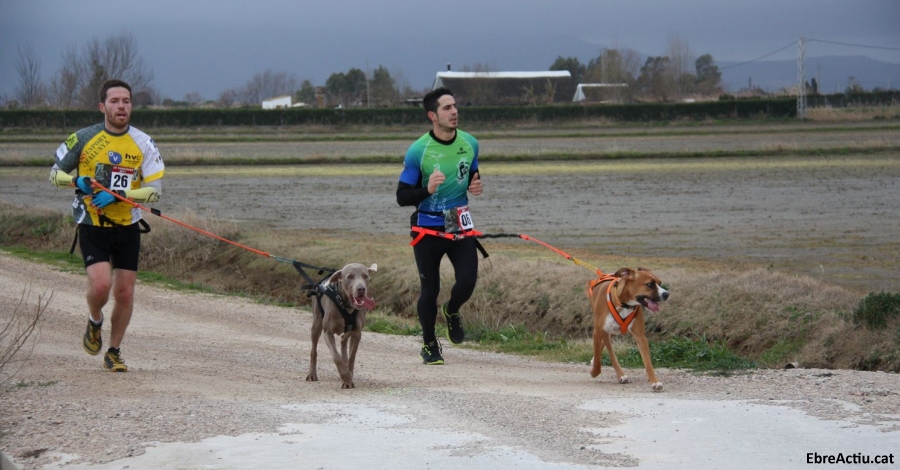 Poble Nou acull la segona edici� de Lo Canicr�s del Delta