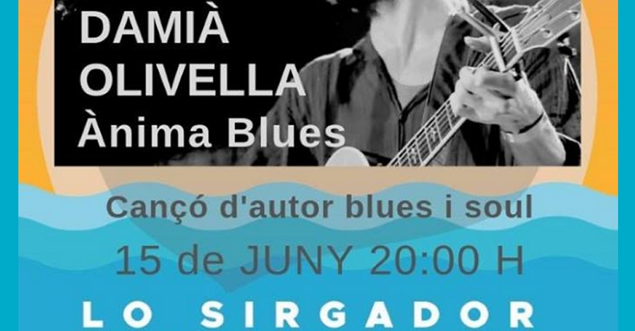 Ciclo musical de conciertos ac�sticos navegando por el Ebro. Dami� Olivella. �nima Blues