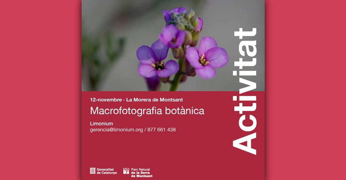 Macrofotografia bot�nica. Introducci�n a la fotograf�a de plantas singulares en el Parque Natural de Montsant