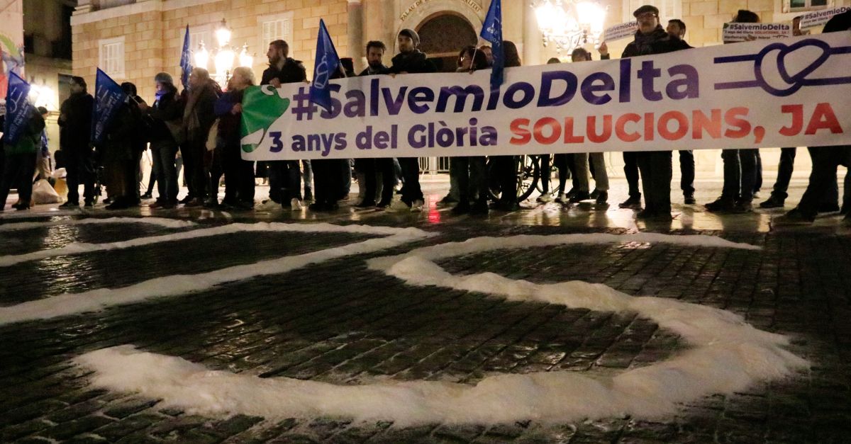 Entitats ecologistes i de l’Ebre llancen un SOS des de Barcelona per salvar el Delta quan fa tres anys del Gloria | EbreActiu.cat, revista digital d’oci actiu | Terres de l’Ebre ... Entitats ecologistes i de l’Ebre llancen un SOS des de Barcelona per salvar el Delta quan fa tres anys del Gloria | EbreActiu.cat, revista digital d’oci actiu | Terres de l’Ebre ...
