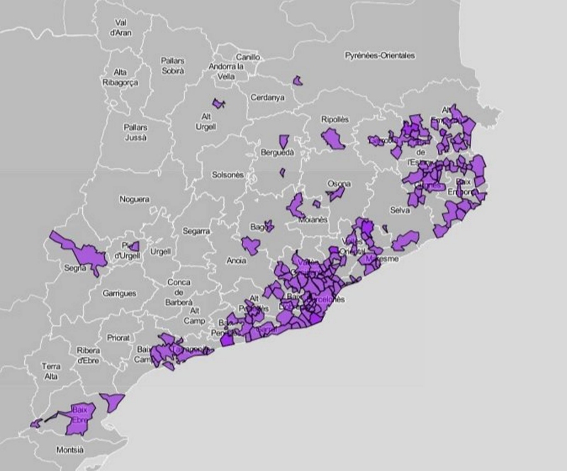 Agricultura crea un Comit� T�cnic per fer front de manera conjunta a la plaga del bernat marbrejat | EbreActiu.cat, revista digital d&rsquo;oci actiu | Terres de l&rsquo;Ebre ...