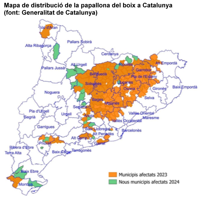 La plaga de la papallona del boix s&rsquo;est�n al Baix Ebre i al Montsi� | EbreActiu.cat, revista digital d&rsquo;oci actiu | Terres de l&rsquo;Ebre ...