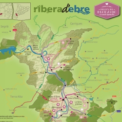 El Consell Comarcal aposta per la floraci� a la Ribera d&rsquo;Ebre com a actiu tur�stic