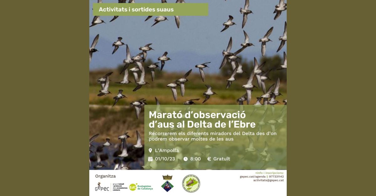 Marat� d�observaci� d�aus al Delta de l�Ebre