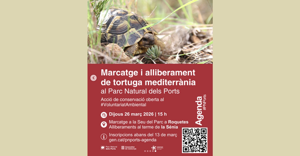 Marcaje y liberaci�n de tortuga mediterr�nea en el Parc Natural dels Ports