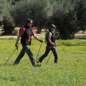 Els beneficis de la marxa nrdica