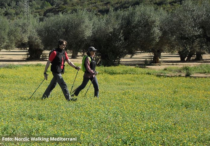 Els beneficis de la marxa n�rdica | EbreActiu.cat, revista digital d&rsquo;oci actiu | Terres de l&rsquo;Ebre ...