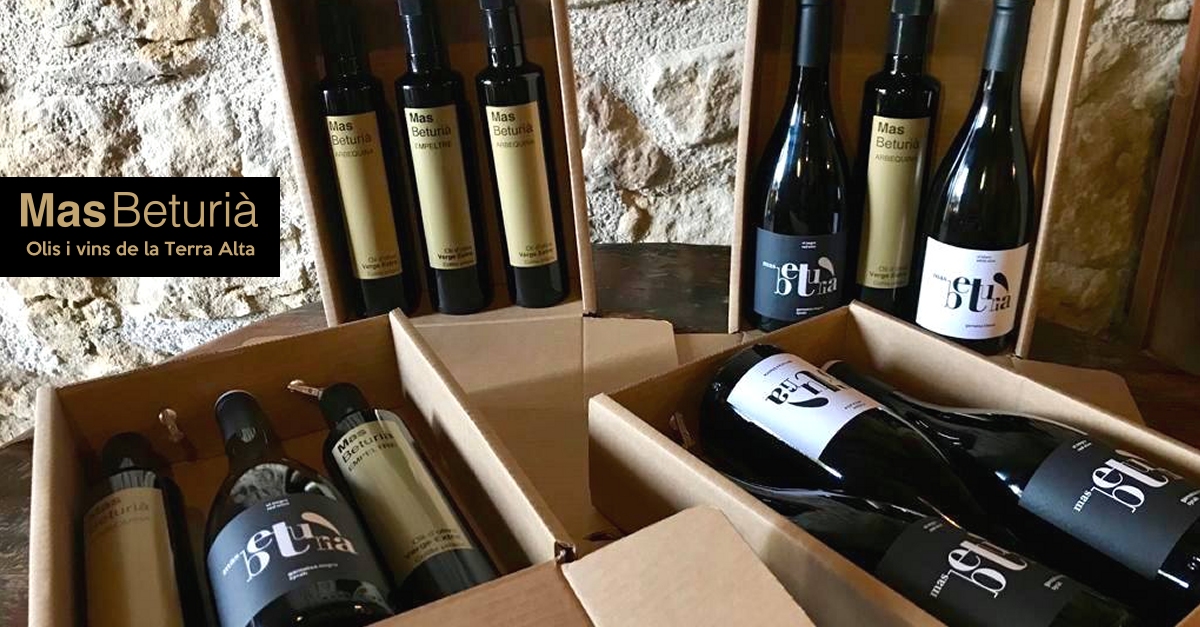La vinya a Catalunya: cap a la certificaci� 100% ecol�gica | EbreActiu.cat, revista digital d&rsquo;oci actiu | Terres de l&rsquo;Ebre ...
