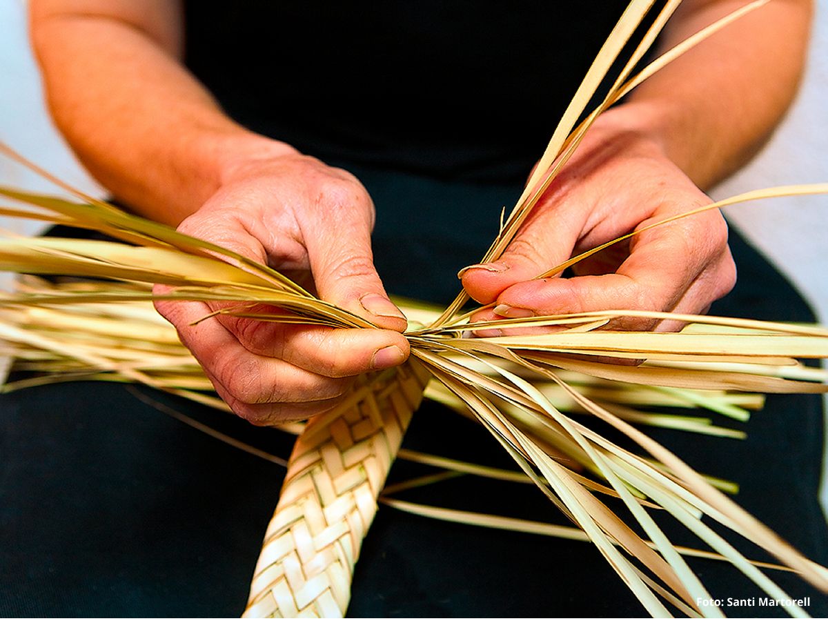 Mas de Barberans, el poble de la pauma | EbreActiu.cat, revista digital d&rsquo;oci actiu | Terres de l&rsquo;Ebre ...