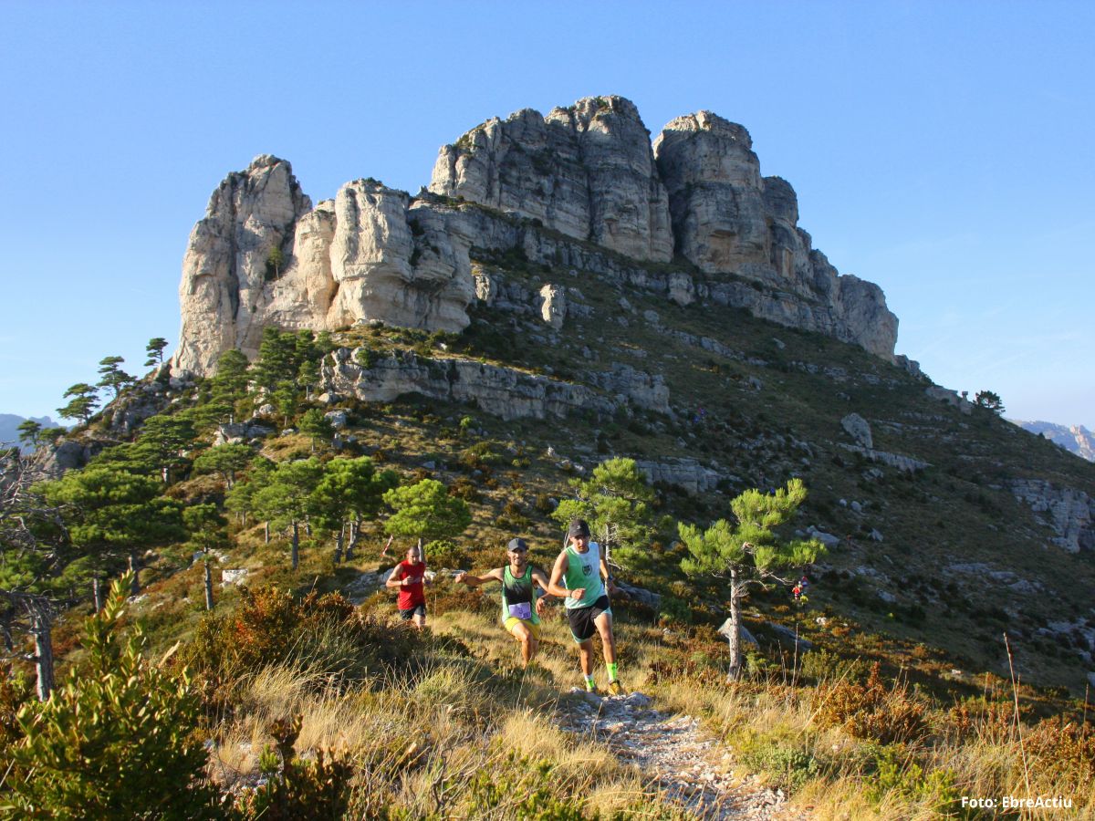 Mas de Barberans, el pueblo de la pauma | EbreActiu.cat, revista digital de ocio activo | Terres de l&rsquo;Ebre...