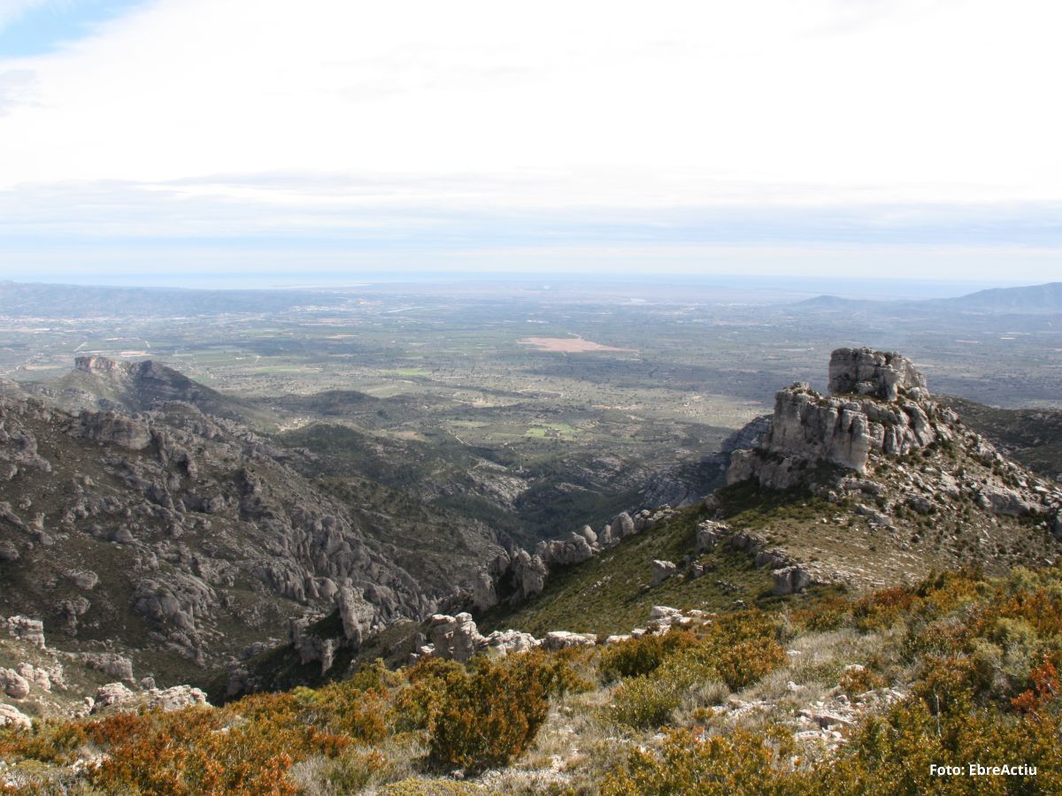 Mas de Barberans, el poble de la pauma | EbreActiu.cat, revista digital d&rsquo;oci actiu | Terres de l&rsquo;Ebre ...