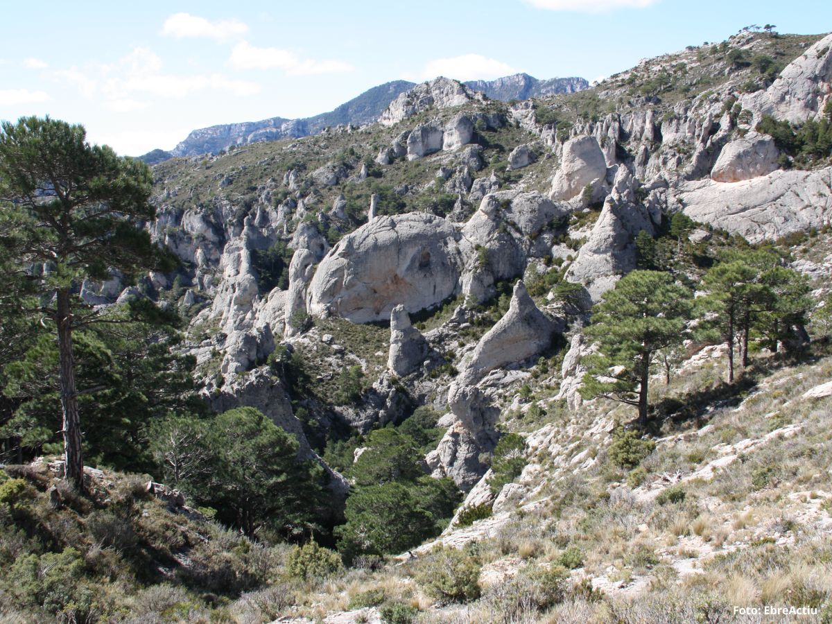 Mas de Barberans, el pueblo de la pauma | EbreActiu.cat, revista digital de ocio activo | Terres de l&rsquo;Ebre...