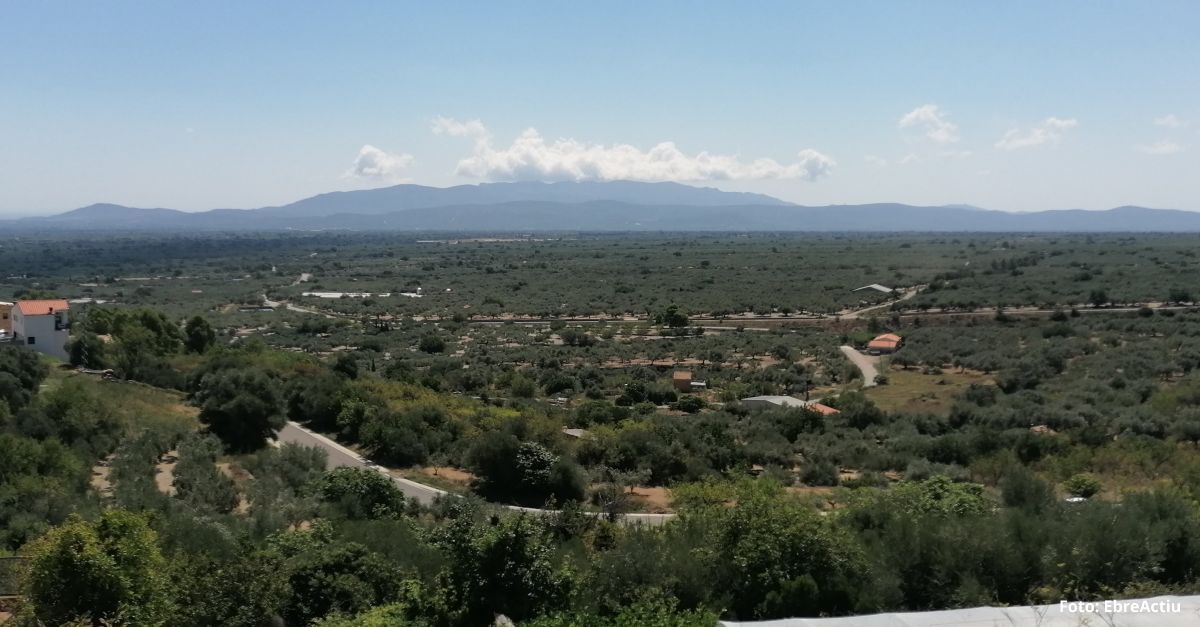 Mas de Barberans, el pueblo de la pauma | EbreActiu.cat, revista digital de ocio activo | Terres de l&rsquo;Ebre...