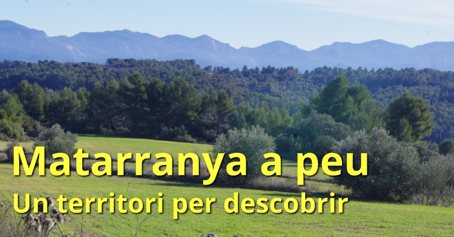 Matarra�a a pie