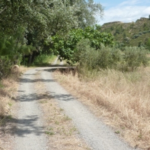 �lbum: ruta del meandre de Flix