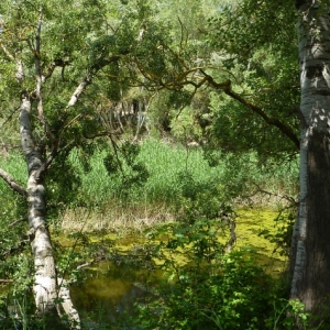 �lbum: ruta del meandre de Flix